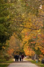 Group of people walking along a path lined with autumn trees on the Thames Valley Parkway in