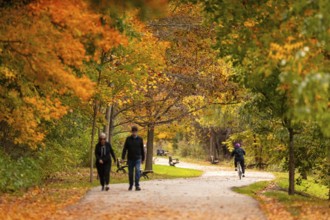 People walking along a tree-lined path covered with colorful autumn leaves on the Thames Valley