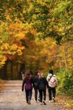 Friends walking along a forest path adorned with stunning autumn colors on the Thames Valley