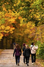 A group of people enjoying a walk under the colorful fall foliage on the Thames Valley Parkway in