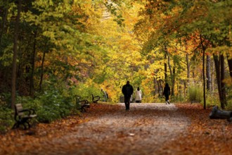 People walking along a wide path enveloped by warm autumn hues along the Thames Valley Parkway in