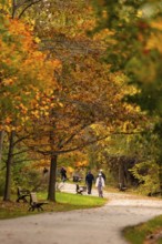 Park path with vibrant autumn foliage and benches, people enjoying a walk on the Thames Valley