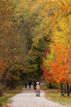 Park path scene with people walking and strollers amidst vibrant autumn foliage on the Thames