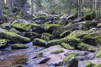 A winding river flows through large, mossy stones in a dense forest, Höllfall Arbesbach Waldviertel