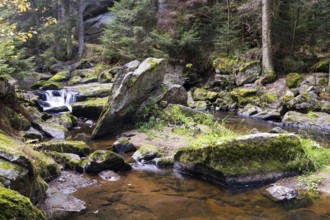 A shallow stream crosses the mossy rocky landscape in a quiet forest, Höllfall Arbesbach