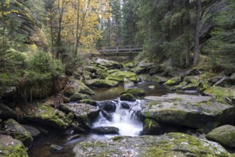 A small waterfall flows over mossy rocks in autumn forest, Höllfall Arbesbach Waldviertel Lower