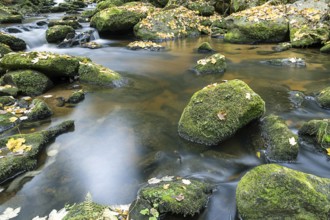 Clear water flows over mossy stones surrounded by autumn leaves, Höllfall Arbesbach Waldviertel