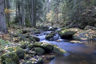 Flowing stream through an autumnal forest, surrounded by mossy stones, Höllfall Arbesbach