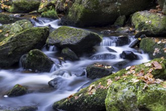 Flowing water over moss-covered stones surrounded by autumn leaves in the forest, Höllfall