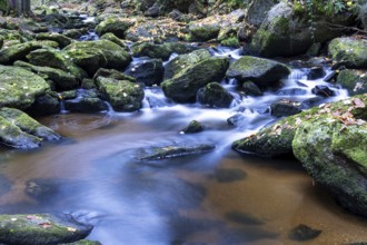 A quiet stream flows over moss-covered stones, surrounded by autumn leaves and forest, Höllfall