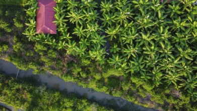 Land used for agriculture in Vietnam, Asia, seen from above