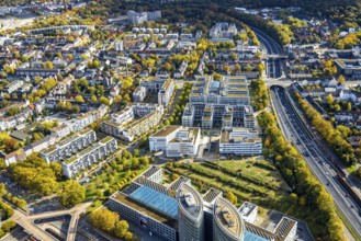 Aerial view, Messeallee office building, A52 motorway, autumn trees and tree-lined avenue,