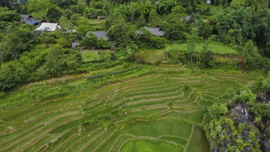 A drone view of rice terraces and a stream in the mountains of Sa Pa, Vietnam, Asia