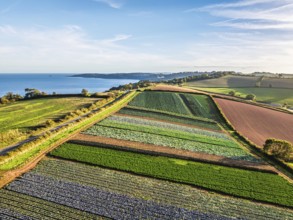 Fields and Farms at evening sun from a drone, Shaldon, Torquay, Devon, England, United Kingdom