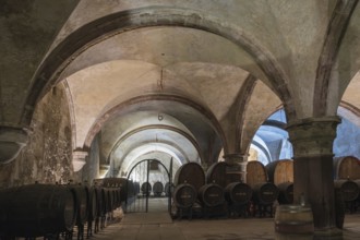 Wine cellar, former hospital, Eberbach Abbey, Cistercian Order, Eltville, Rheingau, Hesse, Germany
