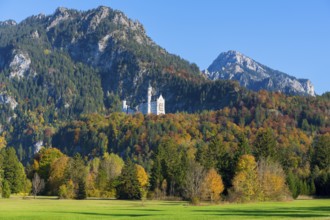 Neuschwanstein Castle in an extensive autumn landscape with mountains and green meadows in the