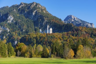 Neuschwanstein Castle is idyllically situated at the foot of mountain peaks in the midst of an