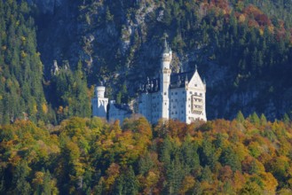 Neuschwanstein Castle rises between autumnal forests and steep mountains in an alpine landscape,