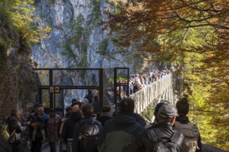 Crowds of people on the narrow Marienbrücke near Neuschwanstein Castle in an autumnal landscape