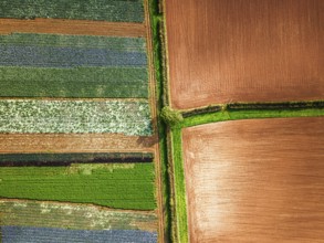 Top down view over fields from a drone, Devon, England, United Kingdom