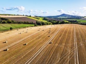 Straw bales in the Scottish fields from a drone, Southeast Scotland, UK