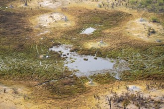 Savanna landscape with termite hills, swamp landscape, aerial view, Okavango Delta, Botswana