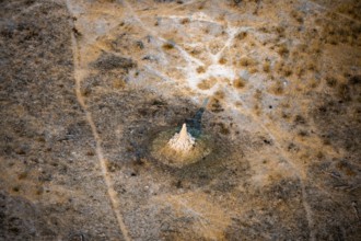 Savanna landscape with yellow grass and termite hills, aerial view, Okavango Delta, Botswana