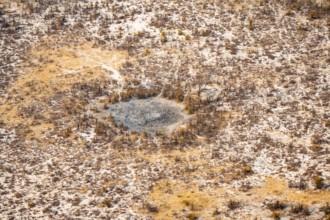 Savanna landscape with bare trees and mud hole, aerial view, Okavango Delta, Botswana