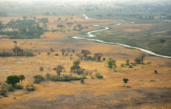 Savanna landscape with yellow grass and river, aerial view, Okavango Delta, Botswana