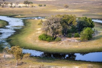 Savanna landscape on the river, aerial view, Okavango Delta, Botswana