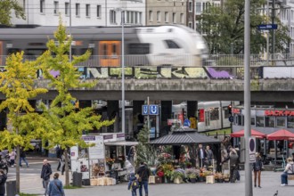 Düsseldorf-Bilk railway station, hub of S-Bahn, tram, bus transport, RRX train, regional express,
