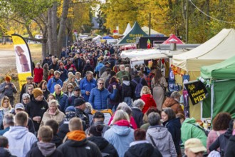 Moritzburg Fish and Forest Festival, visitors flocked in droves to the diverse offerings for all