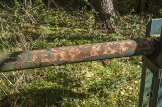 Borken, NRW, Germany, Rust and peeling paint corroding a green metal barrier in a forest setting