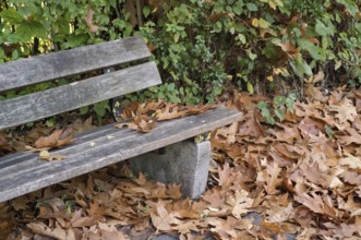 Borken, NRW, Germany, RWood park bench covered with dry brown fallen leaves on the ground