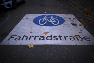 Traffic sign bicycle road, logo, on asphalt of a road, autumn leaves, leaves, autumn, Feuerbach