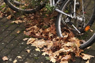 Autumn time, bicycle, autumn leaves, October, Germany