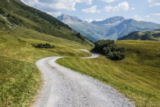 Mountain landscape and winding road, Auenfeldalpe, Warth, Bregenzerwald, Vorarlberg, Alps, Austria