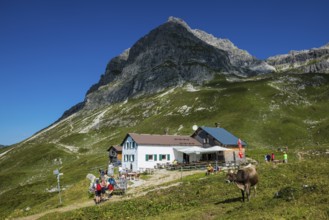 Berglandschaft und Berggasthof, Widderstein Hütte, Widderstein, Warth, Bregenzerwald, Vorarlberg,