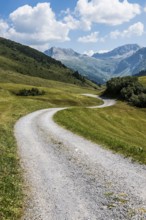 Mountain landscape and winding road, Auenfeldalpe, Warth, Bregenzerwald, Vorarlberg, Alps, Austria