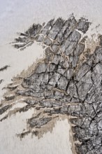 View from the Télécabine Panorama Railway of the glacial crevices of the Glacier du Géant,