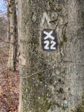 Official marking for hiking trail in Wald an Baumstamm, North Rhine-Westphalia, Germany