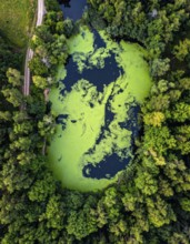 Green algae on the lake. Aerial view of nature, landscape with hills and forest in summer, cloudy