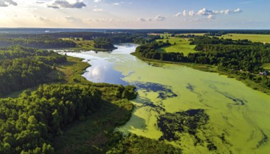 Green algae on the lake. Aerial view of nature, landscape with hills and forest in summer, cloudy