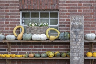 Autumn pumpkin decoration on a wooden shelf in front of a brick wall with handwritten list of