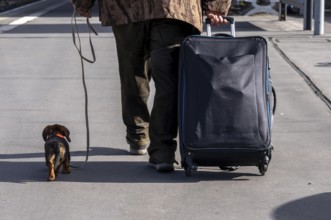 Traveler with trolley and dachshund on a leash, on a platform at Essen Central Station, North