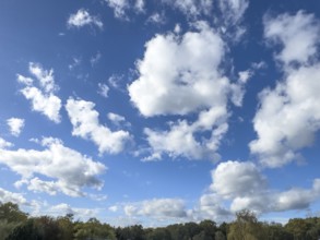 White clouds driven by approaching storm Cumulus above Altocumulus loosened cloud over treetops of