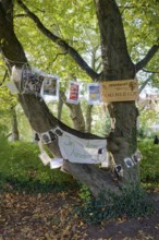 Installation on feminicides, reminder, violence against woman, memorial site, plane tree alley on