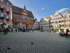 Market square with town hall and Neptune fountain with Neptune and trident from the Renaissance,