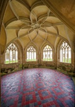 Loop star vault, interior view, Bebenhausen Abbey, former Cistercian Abbey, monastery complex,