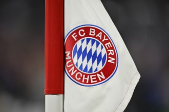 Corner flag, logo, FC Bayern Munich, FCB, Champions League, Allianz Arena, Munich, Bavaria, Germany